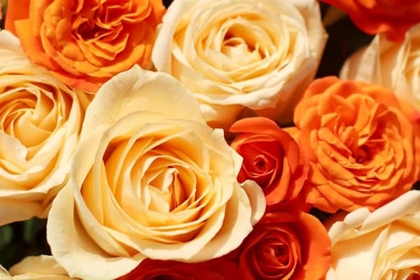 Mixed Roses Bouquet